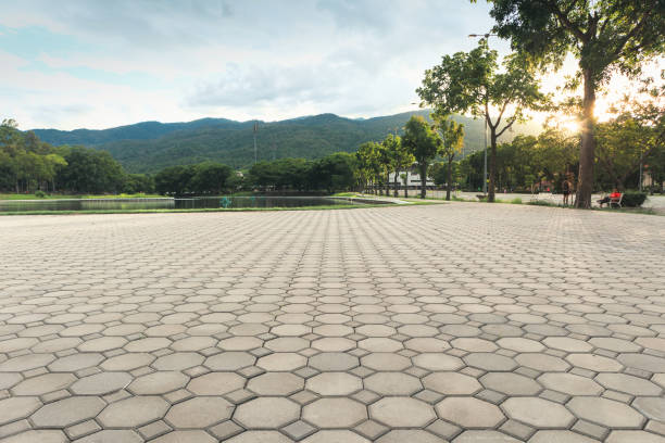 Best Interlocking Driveway Pavers  in Gloucester Point, VA